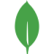 mongodb